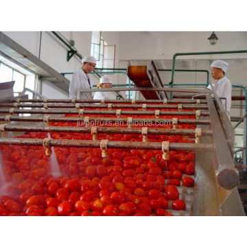 mesin pembungkusan dan pengedap buah dalam tin